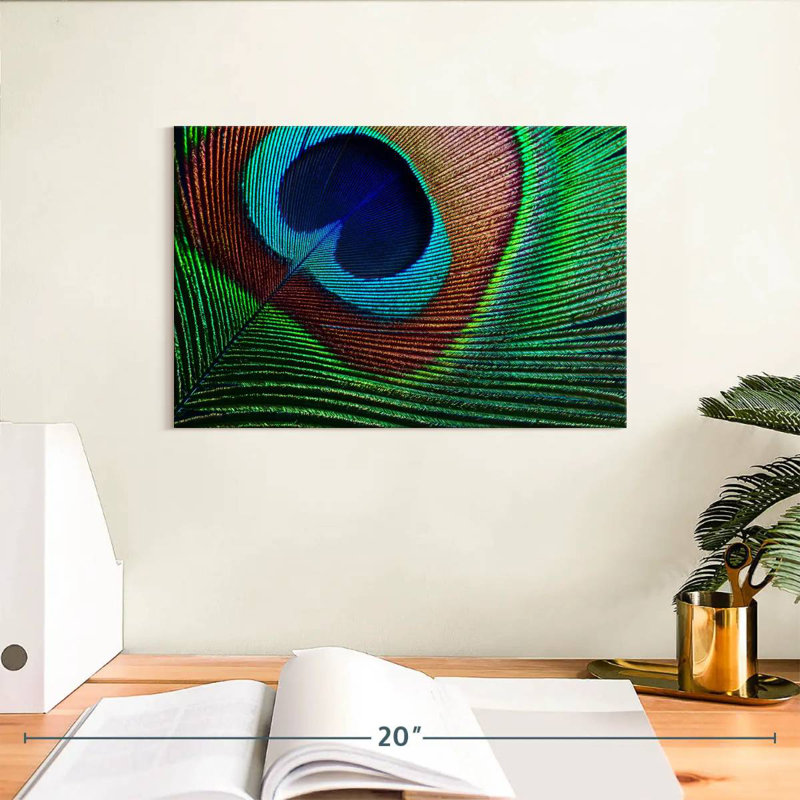 Fine Peacock Feather, 8" H x 12" W
