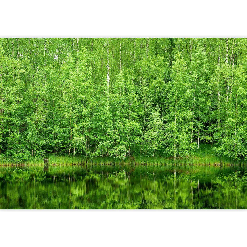 Murale forêt boréale reflétée dans la rivière, L 66 po x l 96 po