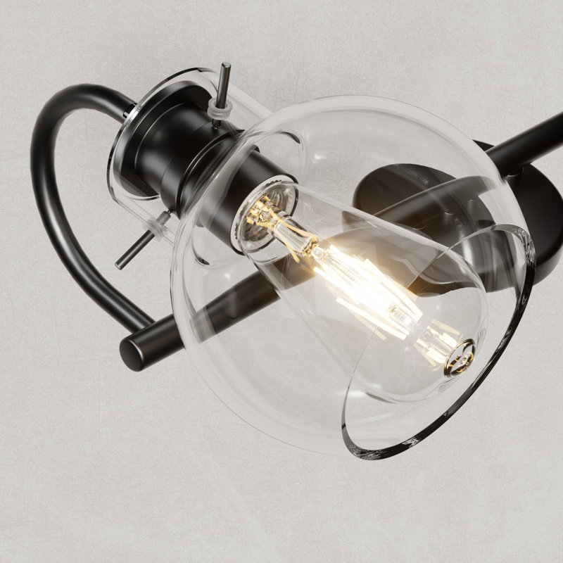 Zeline Light Dimmable Bathroom Vanity Lights with Clear Shade Vanity Light Fixture, 2, Black