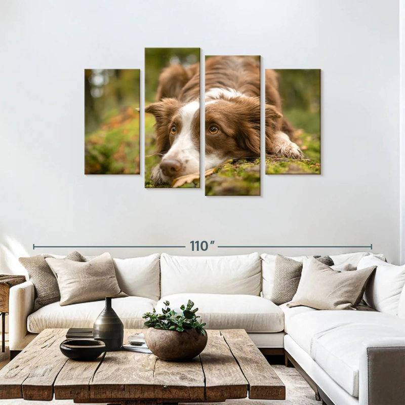 Brampt Lovable Border Collie, 48" H x 75" W