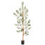Olive artificielle en pot-1072381705