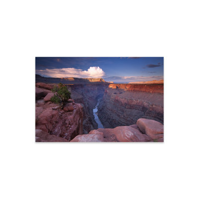 Kadarra " Colorado River From Toroweap Overlook, Grand Canyon National Park, Arizona II " by Tim Fitzharris