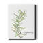 Fresh Sprig Rosemary - reproduction d'art sur toile tendue-816221097