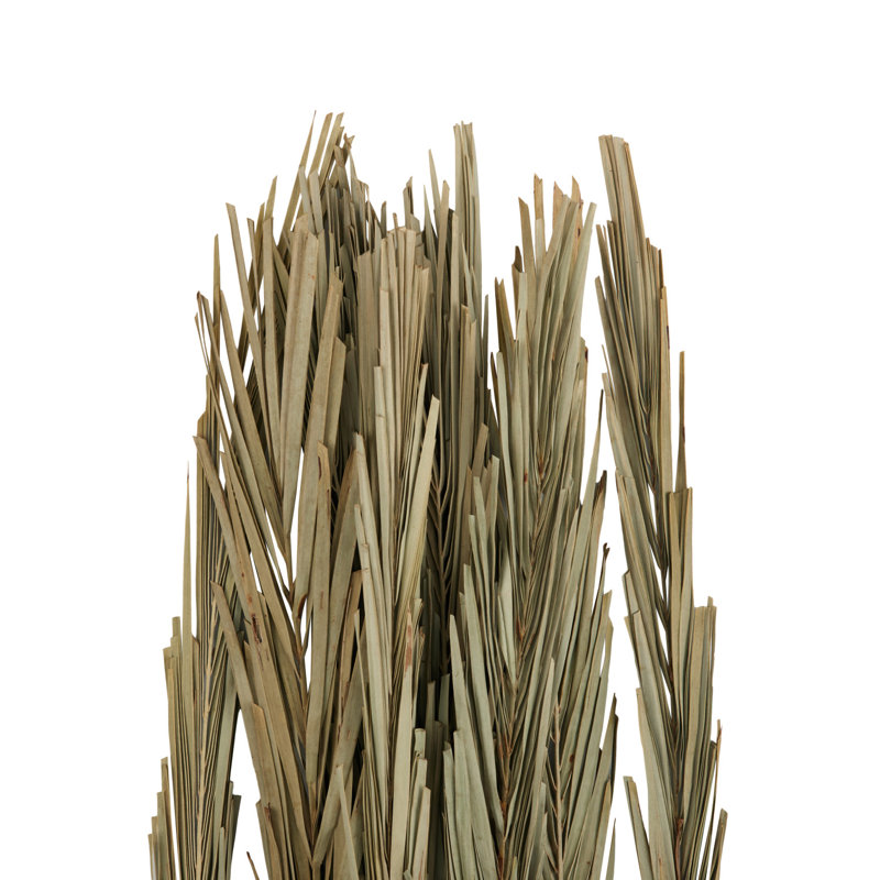 Grand feuillage naturel Cole and Grey Leaf