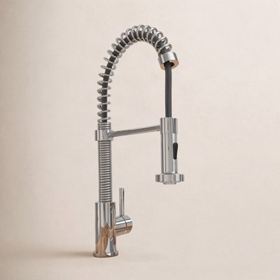 Edison Pull-Down Kitchen Faucet