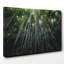 Landscape Woodland Trees Photographic - Wrapped Canvas-19090093