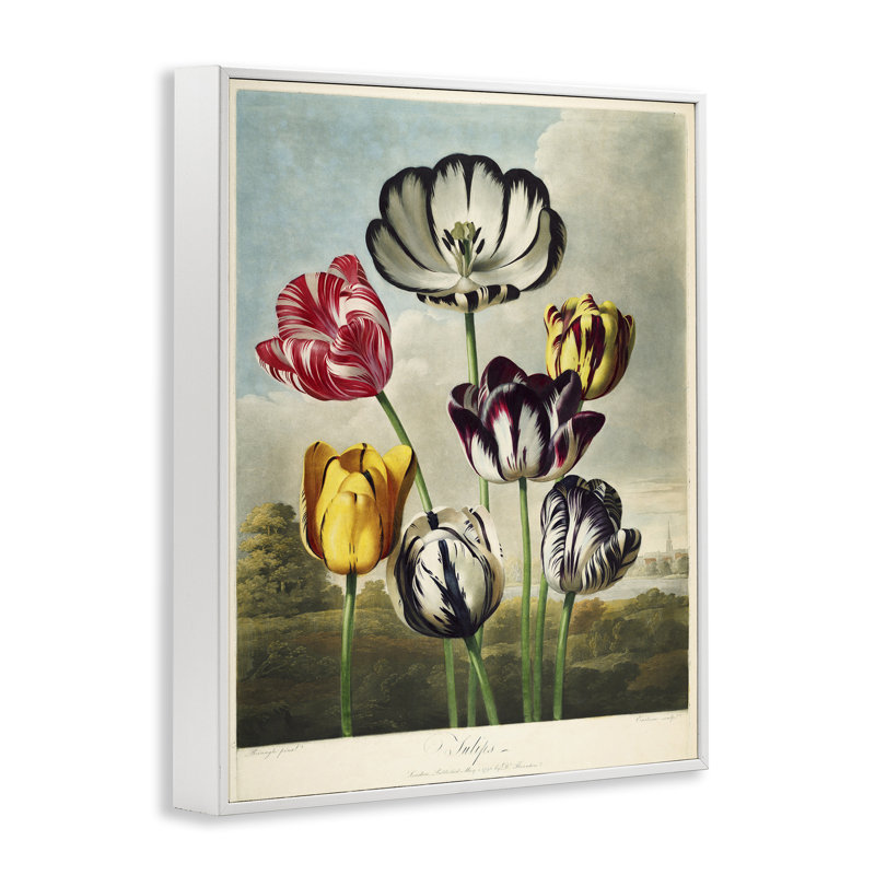 Tulipes du temple, estampe numérique, design par Print Collection, Encadrement giclée blanc côtier, H 30 po x l 24 po