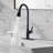 MODLAND Pull Out Kitchen Faucet