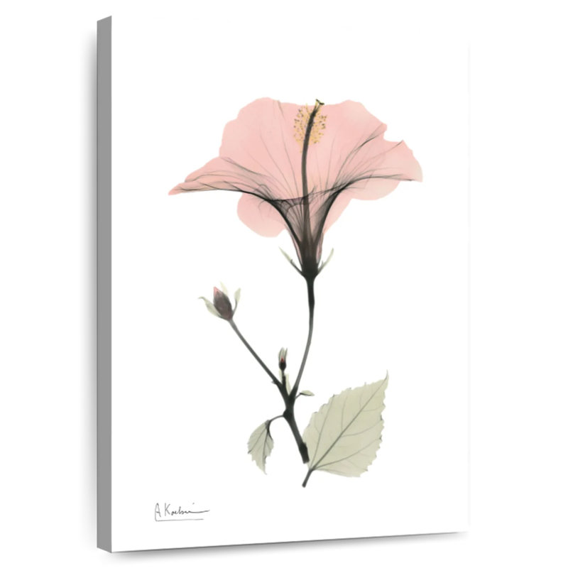 Harnek Hibiscus I, 24" H x 16" W