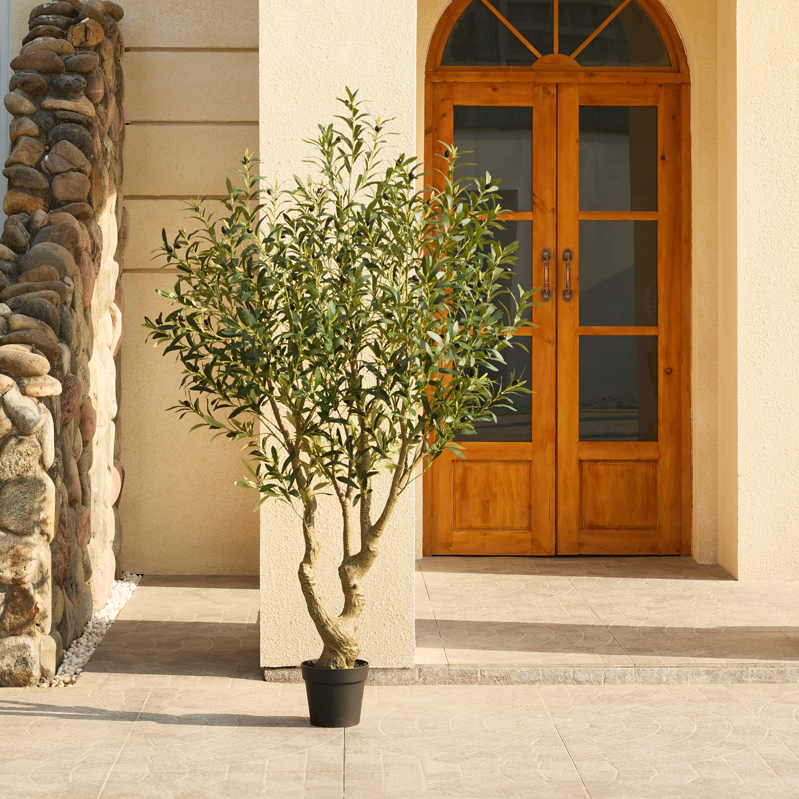 Adcock Olive Tree in Pot, 72" H x 30" W x 30" D