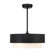 Jeromy 24" 4-Light Fandelier with Remote Control