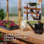 13 X 11 Bellerose XL Greenhouse