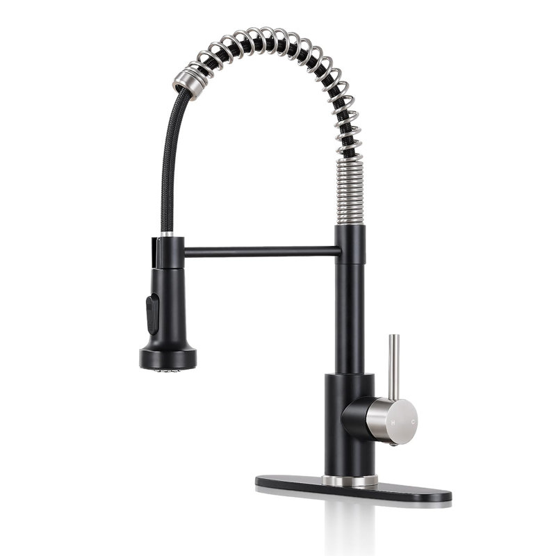 Kitchen Faucets with Pull Down Sprayer, Silver Black