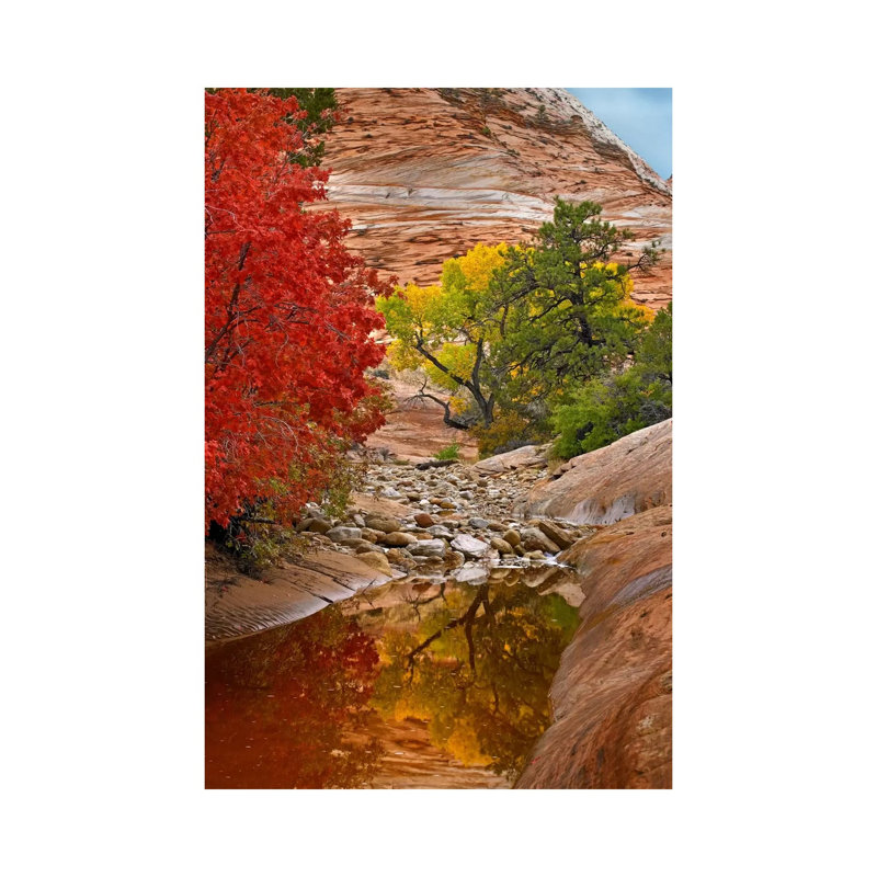 Maple and Cottonwood Autumn Foliage, Zion National Park 1 Piece Wrapped Canvas Wall Art, 30.48 cm H x 45.72 cm W