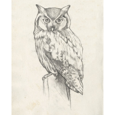 Portrait d'un hibou II