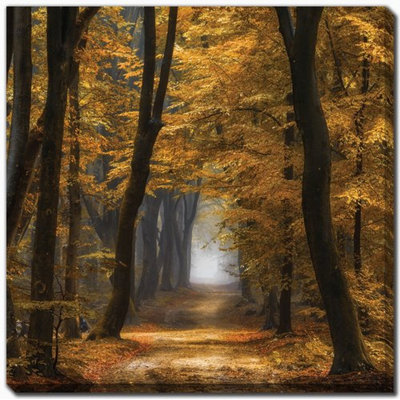 Speuldimensions Canvas Wall Art