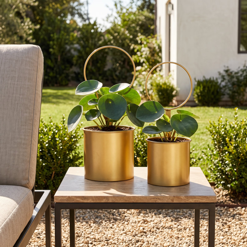 Casey Metal Wall Planter, Gold