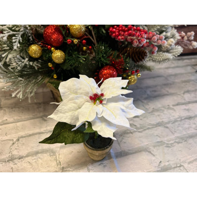 Potted Poinsettia