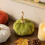 Velours de coton multicolore trio de citrouilles S / 3