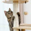 Arbre à chat Modern Luxury