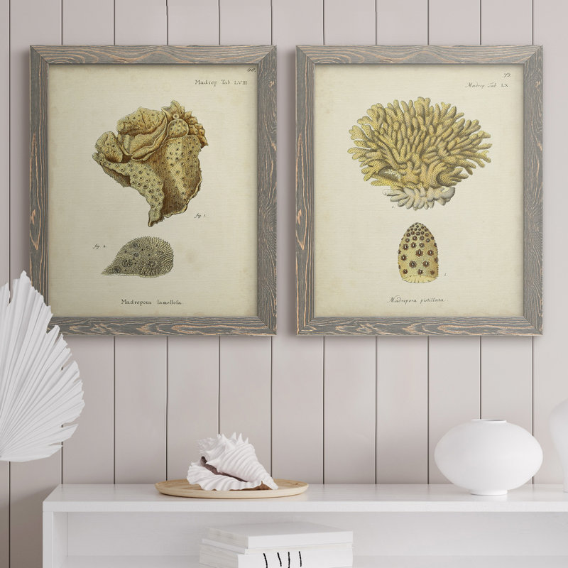 Toile encadrée écrue Corail VIIP Remium - prête à être accrochée, H 20 po x l 17 po x P 1 po, Toile avec cadre gris