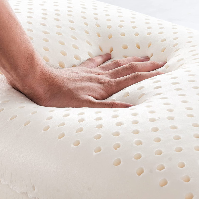 Coussin TALATEX 100% naturel de qualité supérieure en latex Dunlop, 5,5 po x 24 po