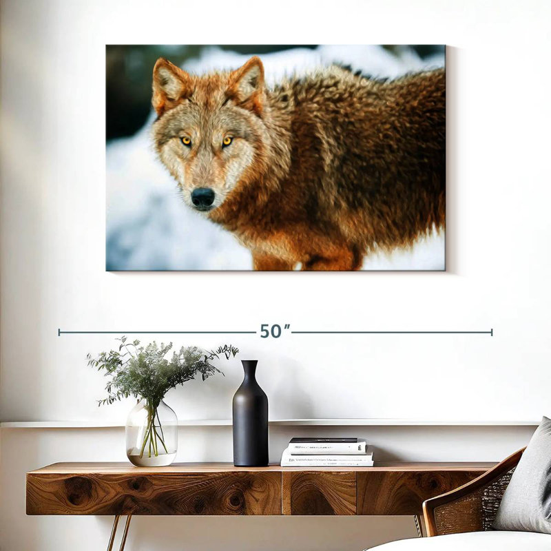 Brampt Brown Wolf