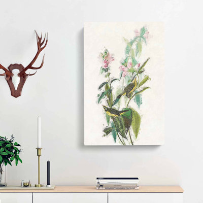 Green Black-Capt Flycatcher Bird by John Audubon - Wrapped Canvas