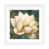 White Framed Paper n'est pas disponible
