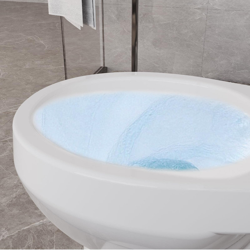 21" ADA Height Two-Piece Toilet – Round Ceramic Bowl, Soft Close Seat, 1.28 GPF, CUPC Certified