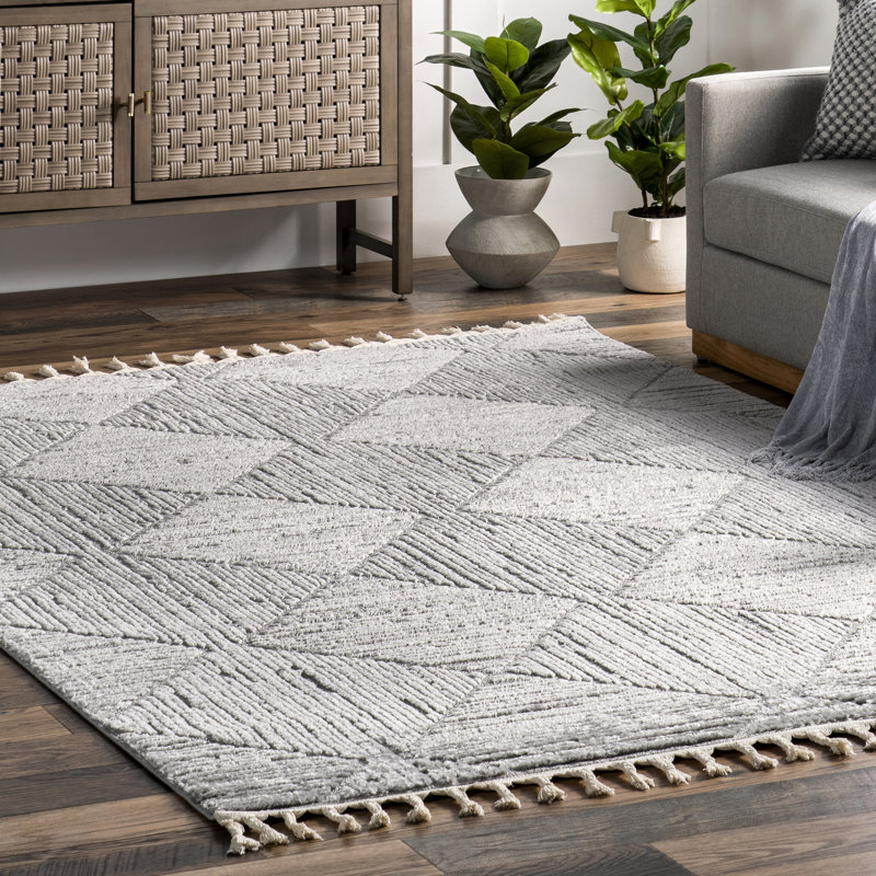 Ebern Designs Kerry Textured Geometric Tasseled Area Rug, Rectangle 2' x 3'