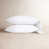 Blanc / Algues