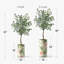 Arbre artificiel avec palmier vert et rose, effet artificiel Signleader pour salon, chambre à coucher, bureau, 4,75 pi-1419886642