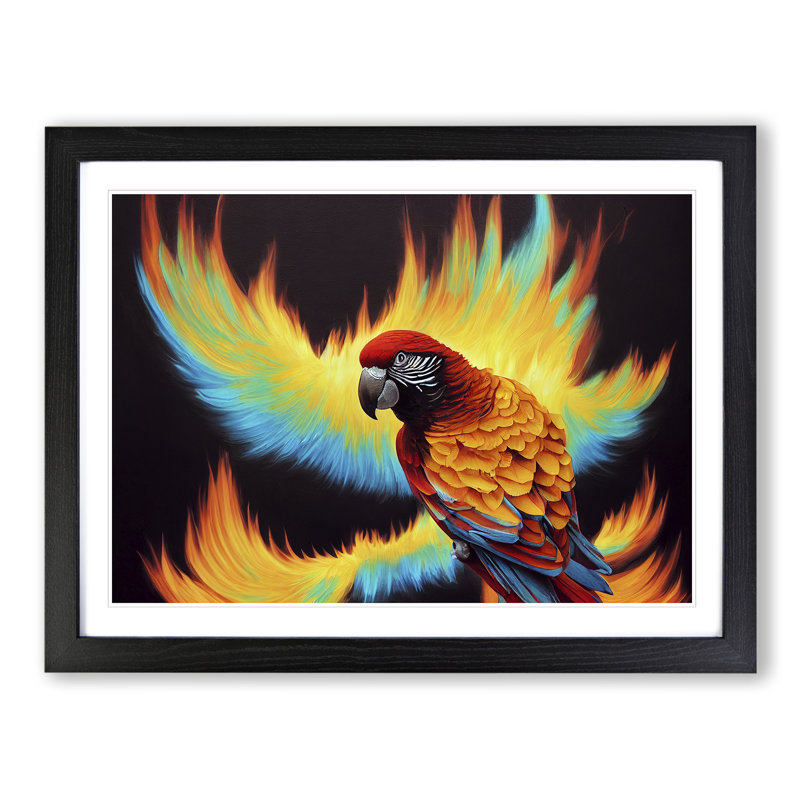 Flaming Macaw Parrot - Single Picture Frame Print, Black, 34cm H x 46cm W x 2cm D