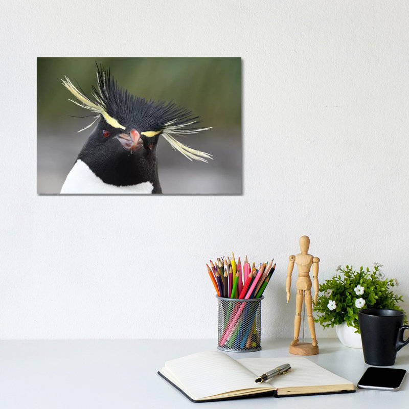 Rockhopper Penguin by Elmar Weiss - Wrapped Canvas Print, 20.32cm H x 30.48cm W x 1.9cm D