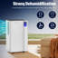 Roniel Air Dehumidifier