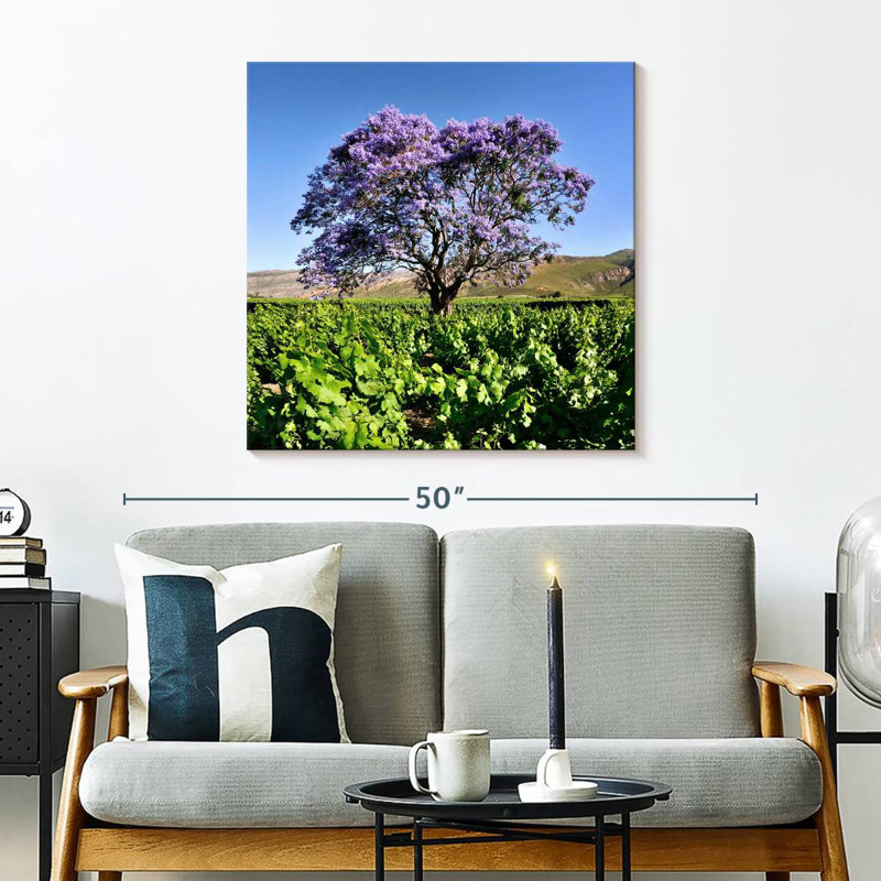 Harnek Jacaranda Tree
