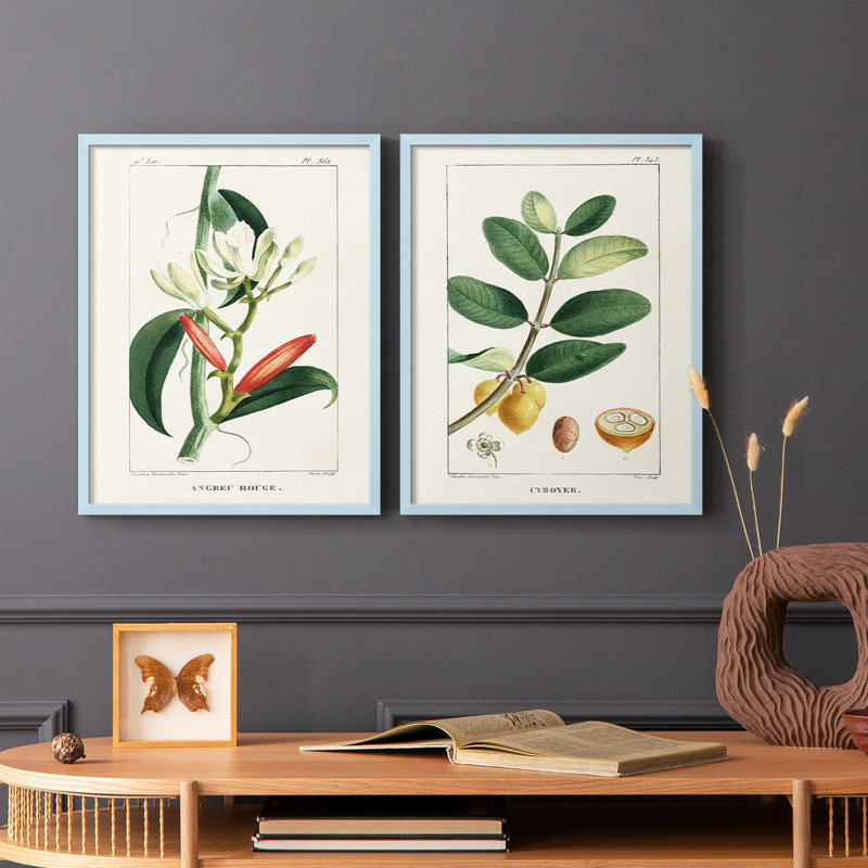 Reproduction encadrée Turpin Tropical Botanicals IX-Premium - prête à être accrochée, Bleu, H 29 po x l 46 po
