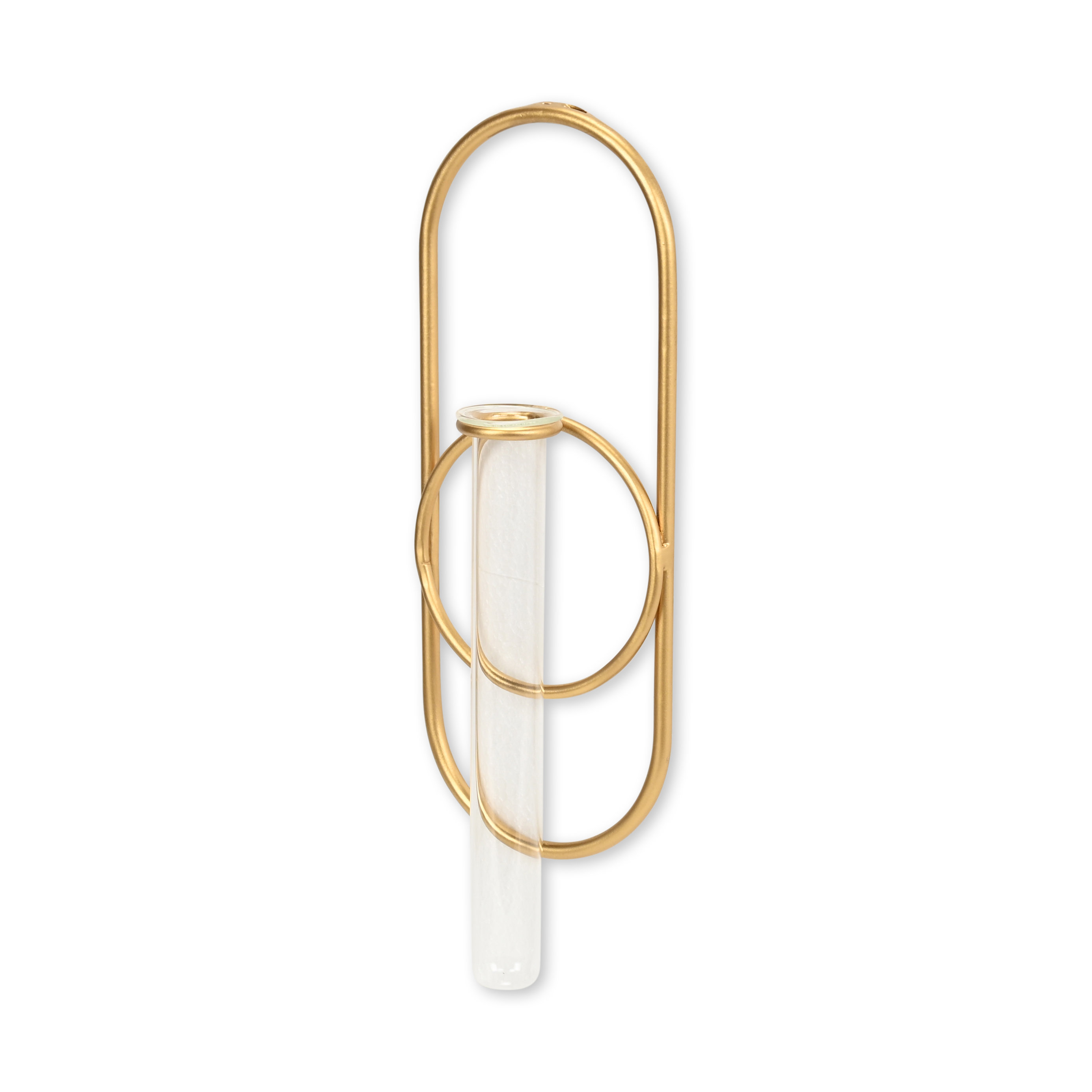 Wrought Studio™ Sephra Metal Loop Glass Wall Planter | Wayfair