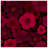 Red Floral Pattern Quilted Bedspread -126079067