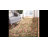 Carolane Performance Floral Rug-1710606417
