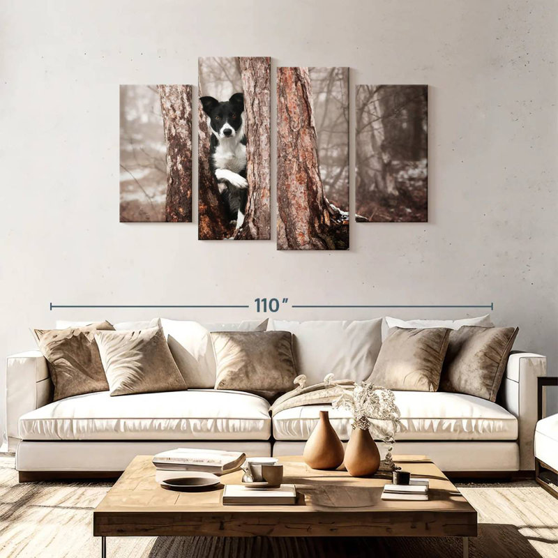 Border collie Brampt, H 48 po x l 75 po