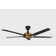 Speakeay Smart Ceiling Fan