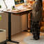 Bureau rectangulaire en noyer massif avec 1 tiroir-130131153
