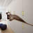 Sleek Bar Pull With Backboard-G016 Multipack-114222858-114222865