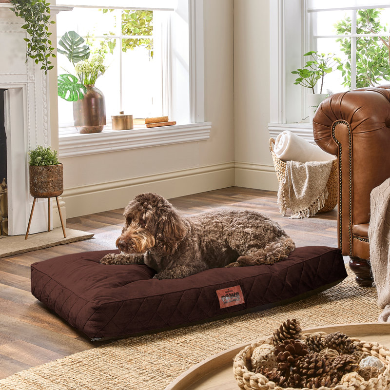 Slumberdown Paws for Slumber Raised Padded Dog Bed – Comfortable, Supportive & Durable Pet Bed for All Breeds, Navy