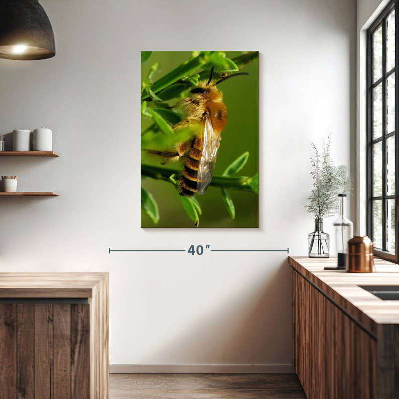 Brampt Bee Bee Bee, 39" H x 26" W