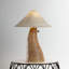 Seyla 1 Light Table Lamp by Loft & Thought for Troy Lighting