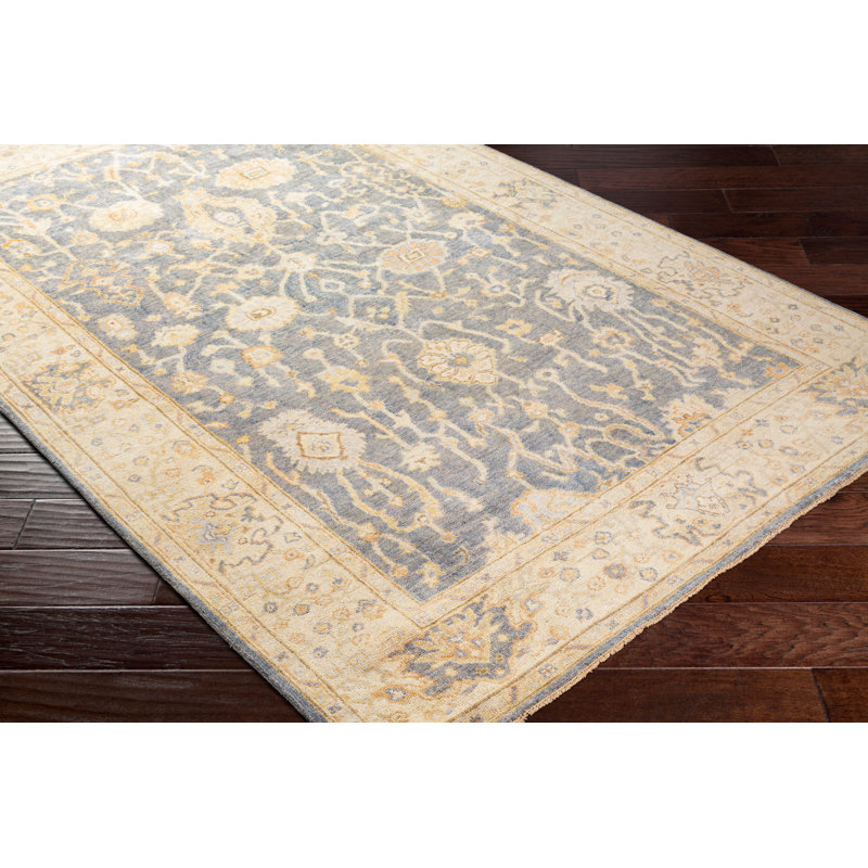 Daucourt Wool Oriental Area Rug, Rectangle 8' x 10'