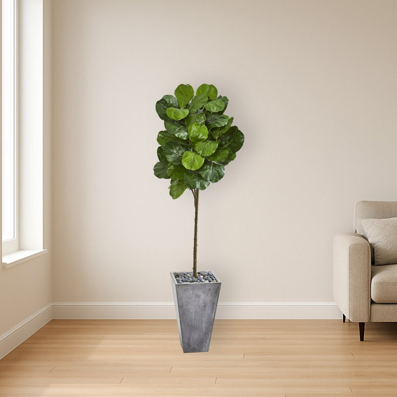 Fiddle Leaf Artificial Tree in Cement Planter